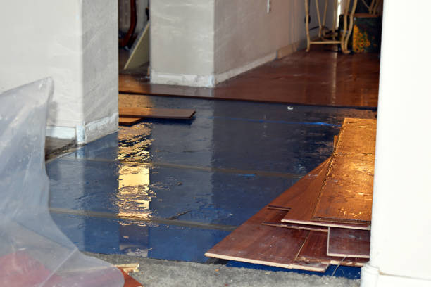 Professional Sewage Cleanup technician working in Winthrop, MA